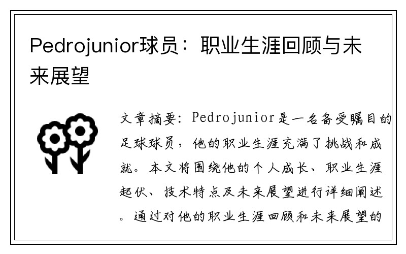 Pedrojunior球员：职业生涯回顾与未来展望