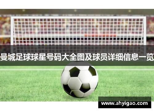 曼城足球球星号码大全图及球员详细信息一览