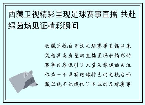 西藏卫视精彩呈现足球赛事直播 共赴绿茵场见证精彩瞬间